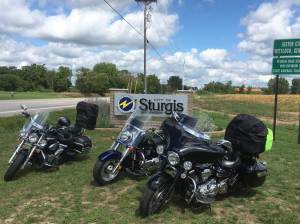 sturgismi